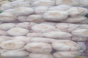 Garlic from Nigeria